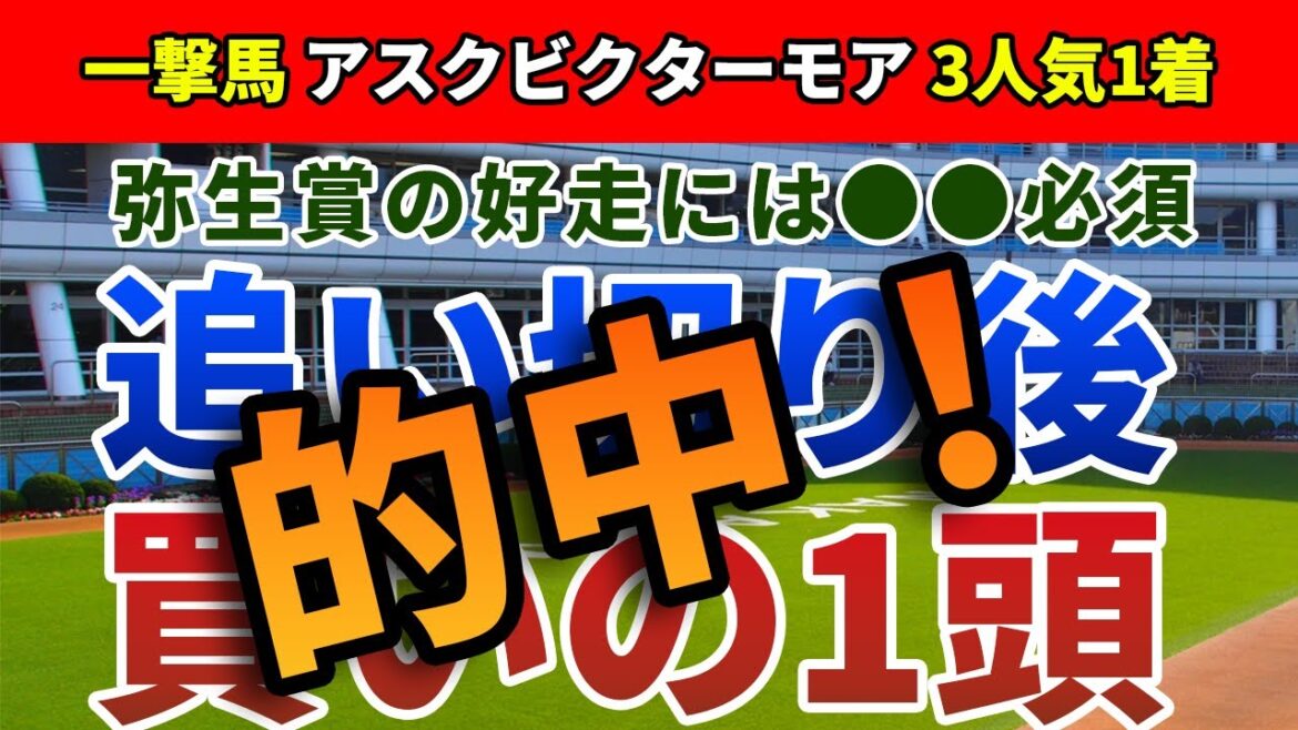 弥生賞2022 追い切り後【買いの1頭】公開！弥生賞での好走を裏付ける意外な特質とは？激走を期待できる人気薄必至の1頭を発表！