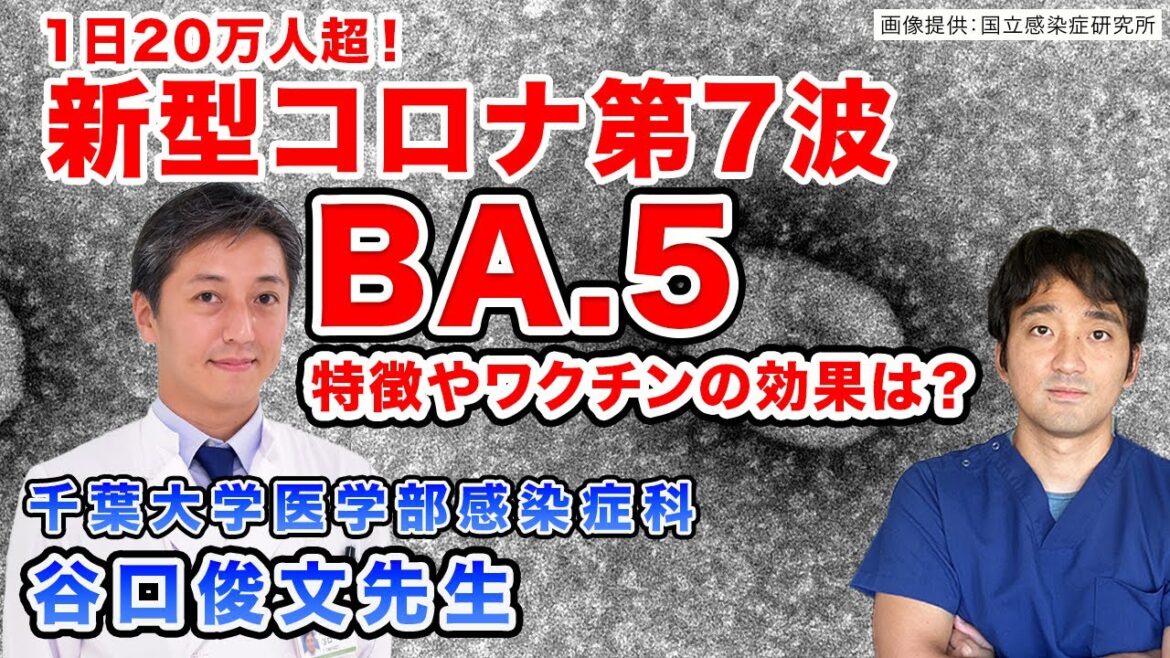 第7波 オミクロンBA5の特徴。症状や治療法、ワクチンの効果について【感染症専門医が詳しく解説】