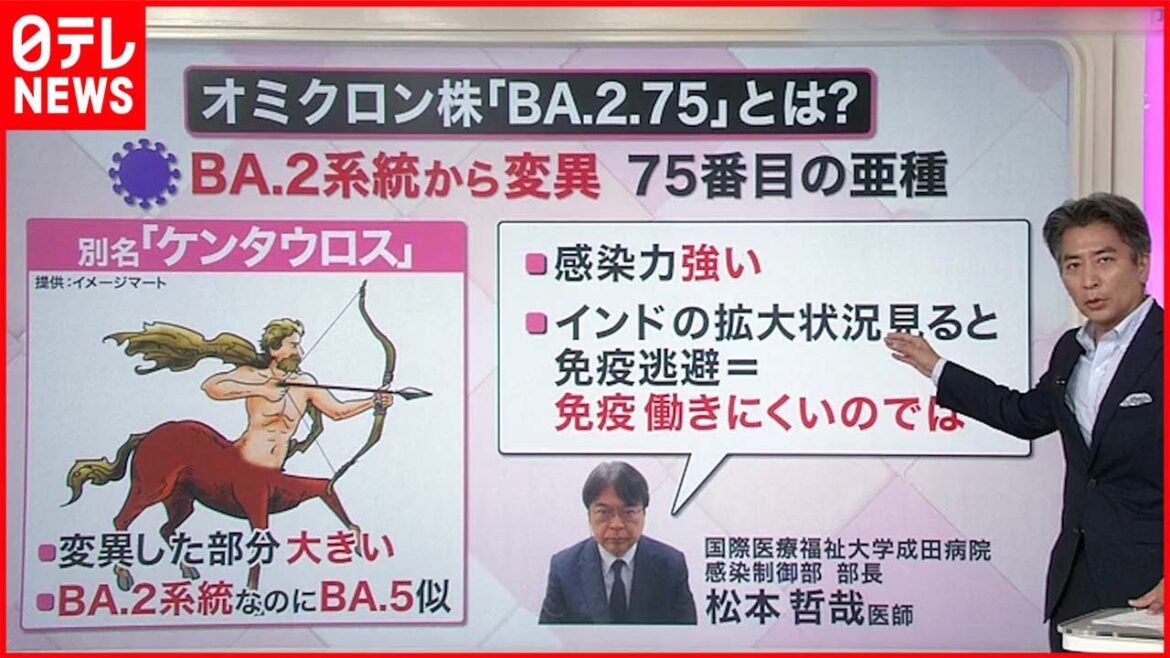 【解説】「ケンタウロス」と呼ばれる新たな変異株「BA.2.75」特徴は…