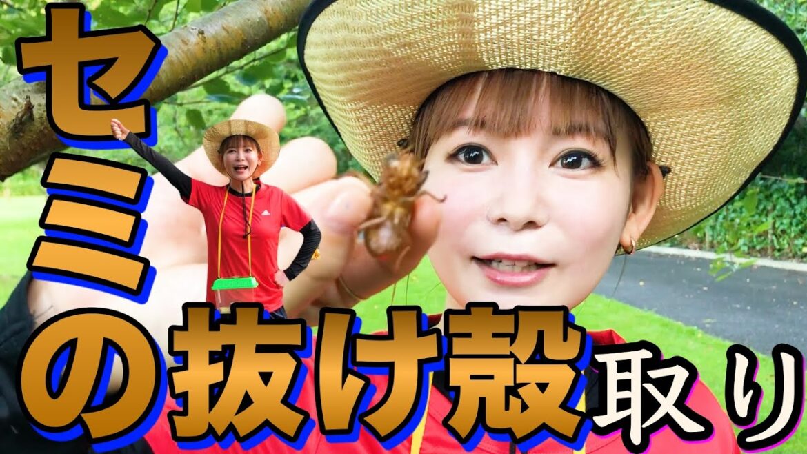 夏の風物詩！「どうぶつの森」みたいなロケで、まさかの結果に！？
