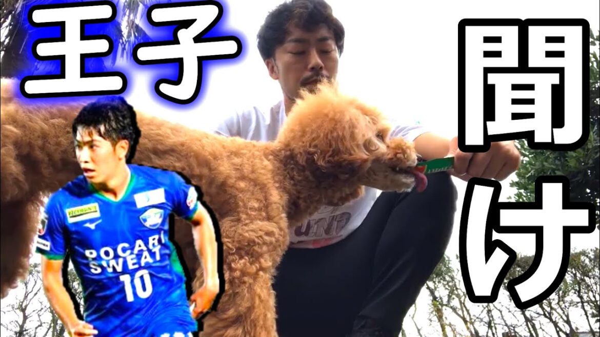 渡井理己にたくさん救ってもらった