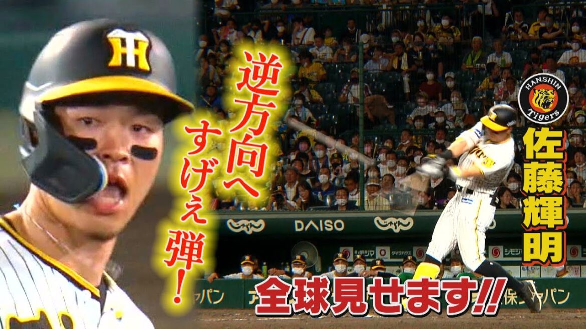 【7/30 今日のサトテル】阪神-ヤクルト 佐藤輝明全球見せます! 【7/30 今日のサトテル】阪神-ヤクルト 佐藤輝明全球見せます!