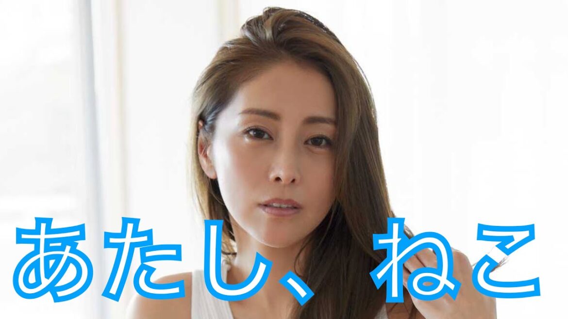 熊切あさ美　✕【あたし、ねこ】