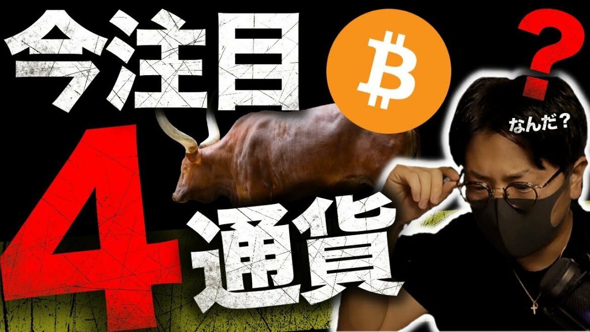 BTC直近動く！今注目のアルトコイン４選