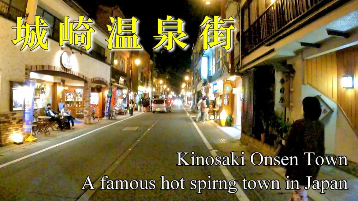 [GoPro] 夜の城崎温泉街を歩く Kinosaki Onsen Town A famous hot spirng town in Japan