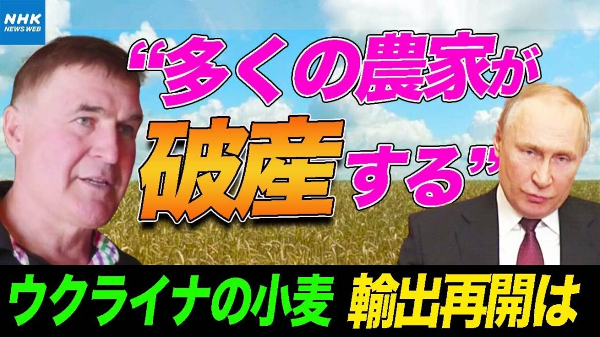 NHK | 【食糧危機】ウクライナとロシア 交渉は大詰め 小麦の輸出再開の見通しは？「ミサイルが飛んでも農作業を続けた」苦しい農家の現状 | 国際報道2022