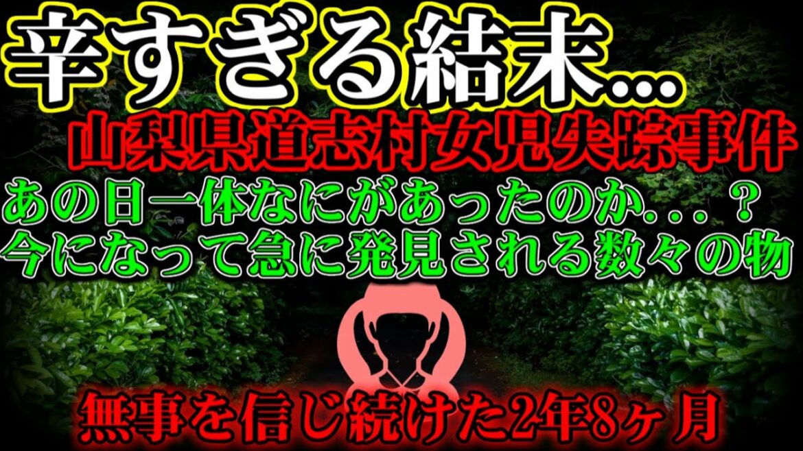 【あの日、一体何があったのか...？】山梨県道志村女児失踪事件