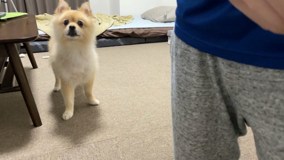 【緊急地震速報】東京で震度5強の地震がありました…