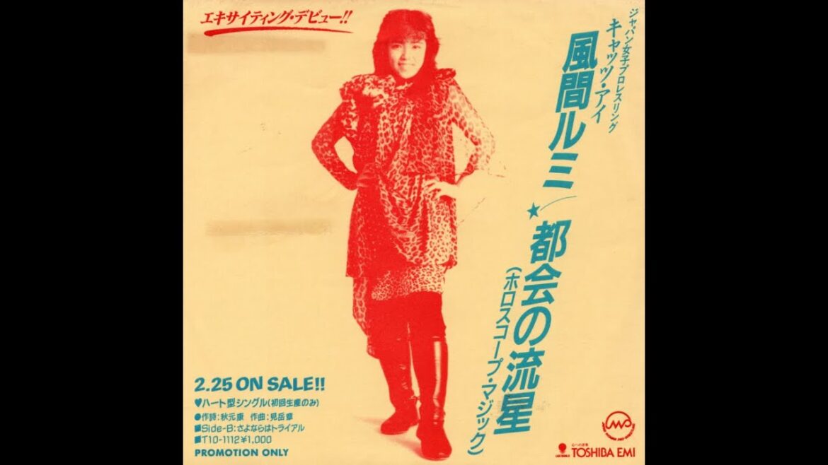 さよならはトライアル  / 風間ルミ