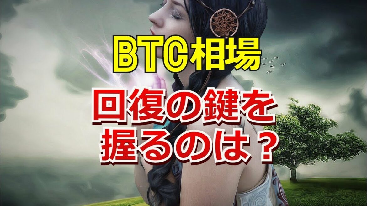 ビットコイン相場回復の鍵を握るのは? ビットコイン相場回復の鍵を握るのは?