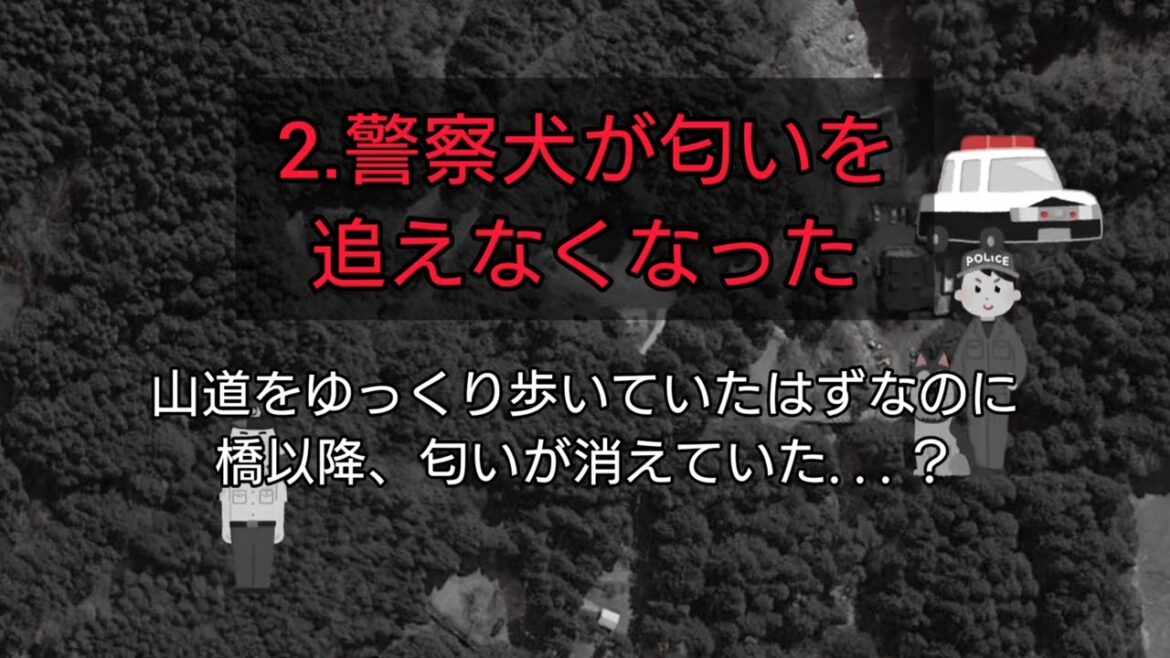 不審点と連鎖する偶然・【山梨女児行方不明事件】骨・足跡・