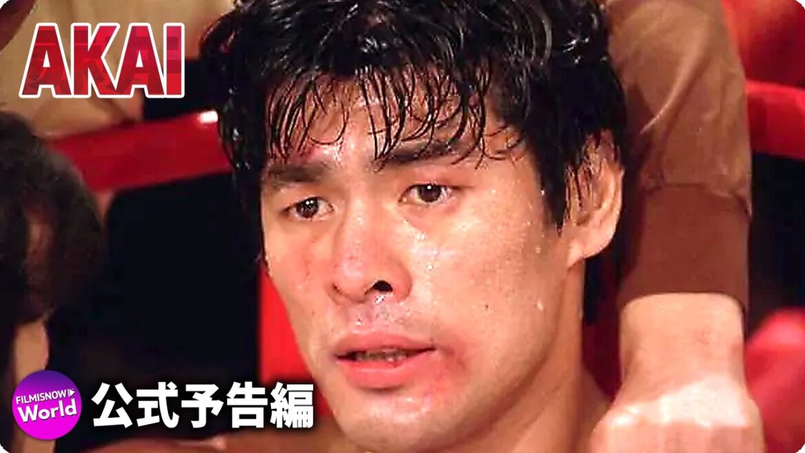 映画『AKAI』本予告  (元プロボクサー赤井英和の現役時代！）