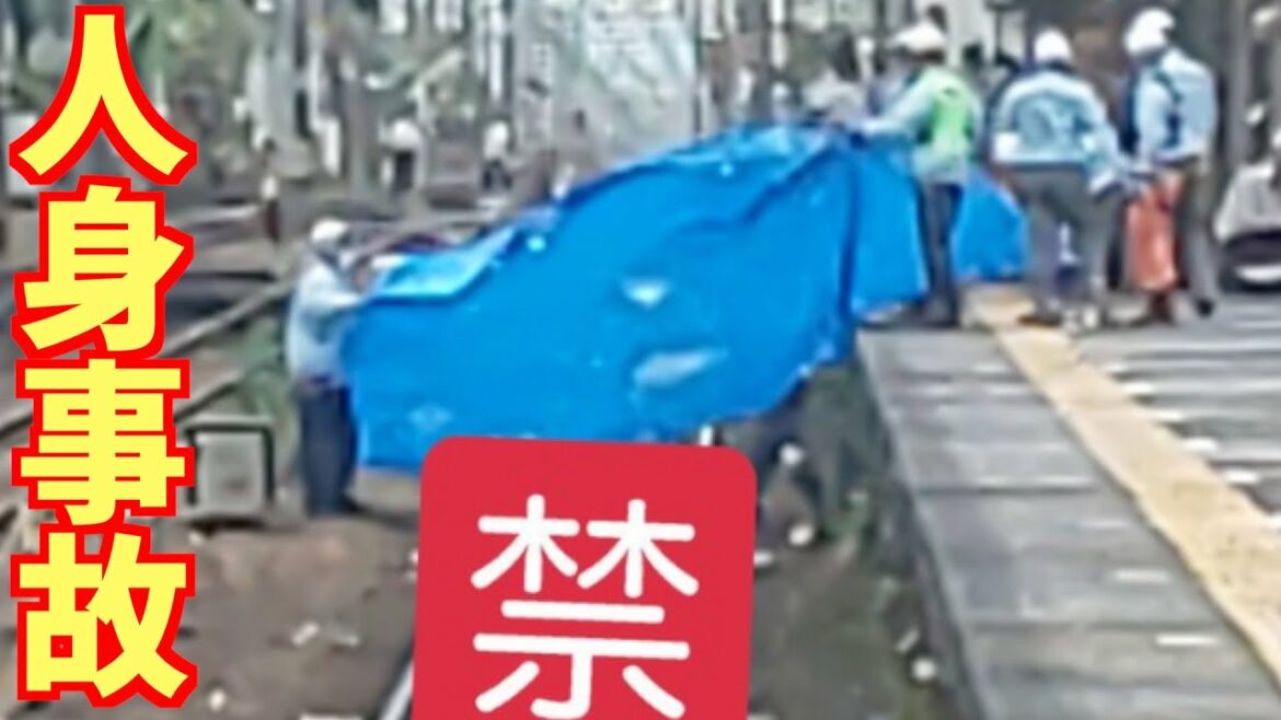 東海道線の興津駅〜清水駅で人身事故が発生【リアルタイム速報】