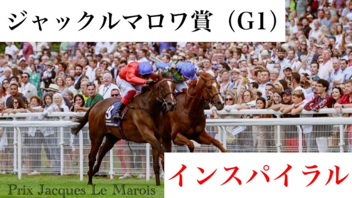 「インスパイラル、あっさりここで巻き返しました」【ジャックルマロワ賞2022】/ Inspiral【Prix Jacques Le Marois 2022】