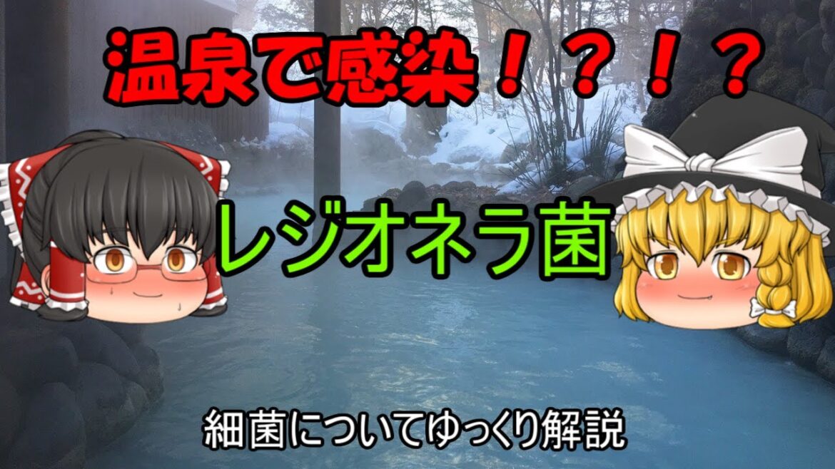 【ゆっくり解説】温泉で感染！？レジオネラ菌についてゆっくり解説
