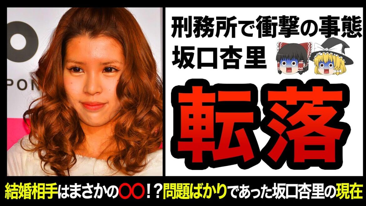 【ゆっくり解説】離婚も確定で地の底へ！？元芸能界の大問題児、坂口杏里の生涯