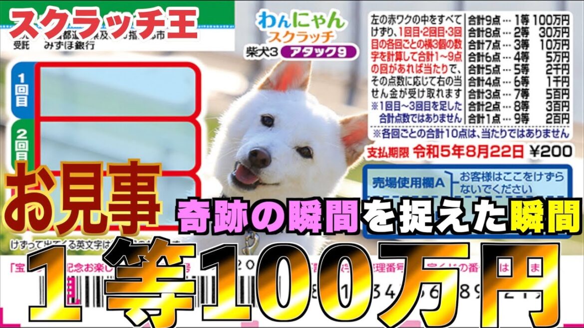 【わんにゃんスクラッチ】１等100万円。『柴犬３』お見事‼︎とんでもない奇跡が起きた！！【＃宝くじ】