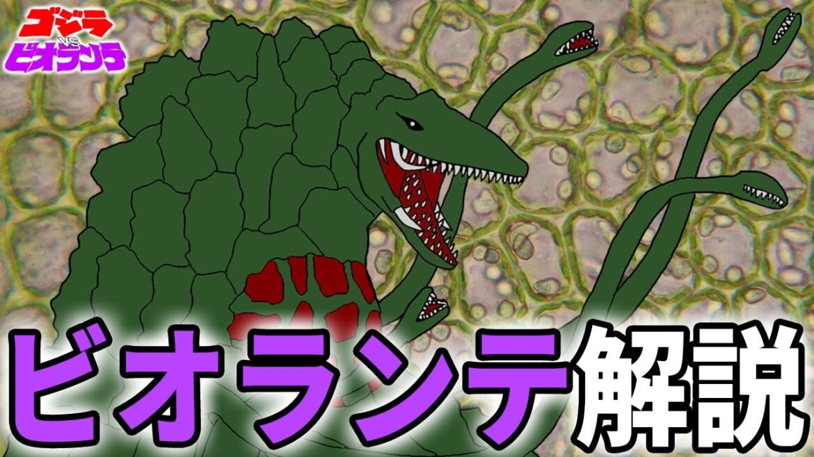 【ゴジラ】ビオランテ解説【godzilla】