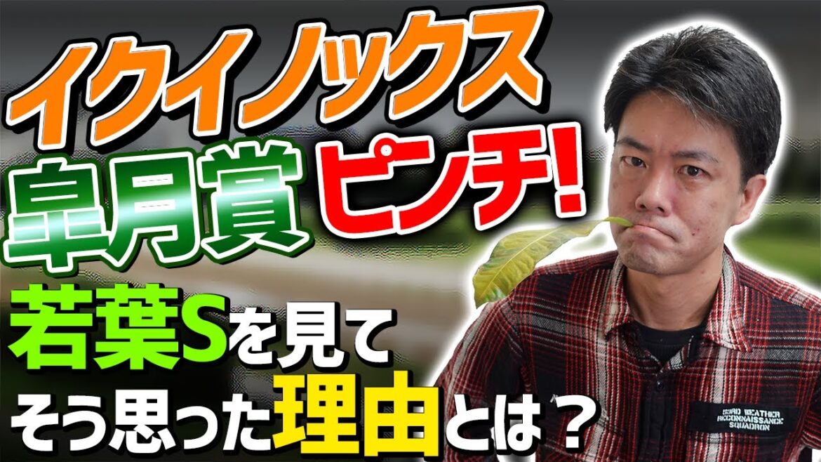 【一口馬主】若葉Sを見て、正直皐月賞のイクイノックス大丈夫か？と思った【節約大全】Vol.712