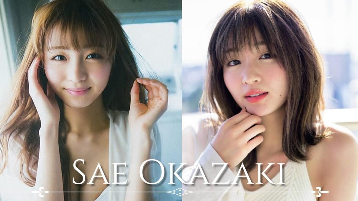 【人物が分かるプロフ付】岡崎紗絵 グラビア写真集 Sae Okazaki Photo album