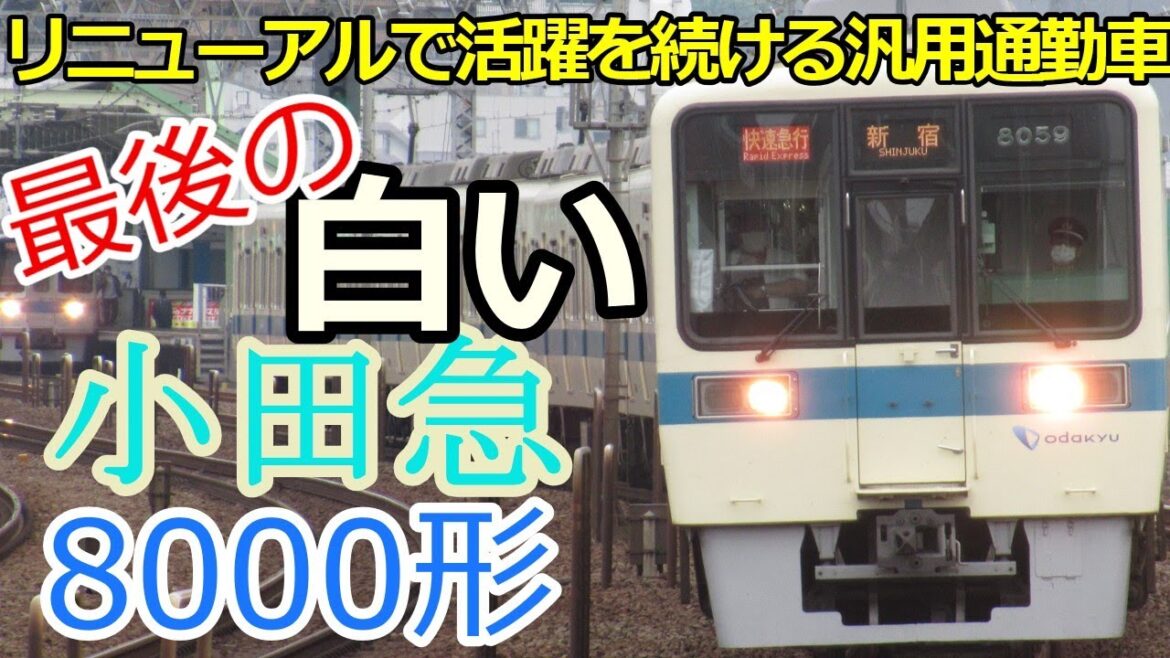 【名/迷列車で行こう】#8 小田急電鉄8000形 徹底したリニューアルで今も大活躍！最後の白い小田急通勤車