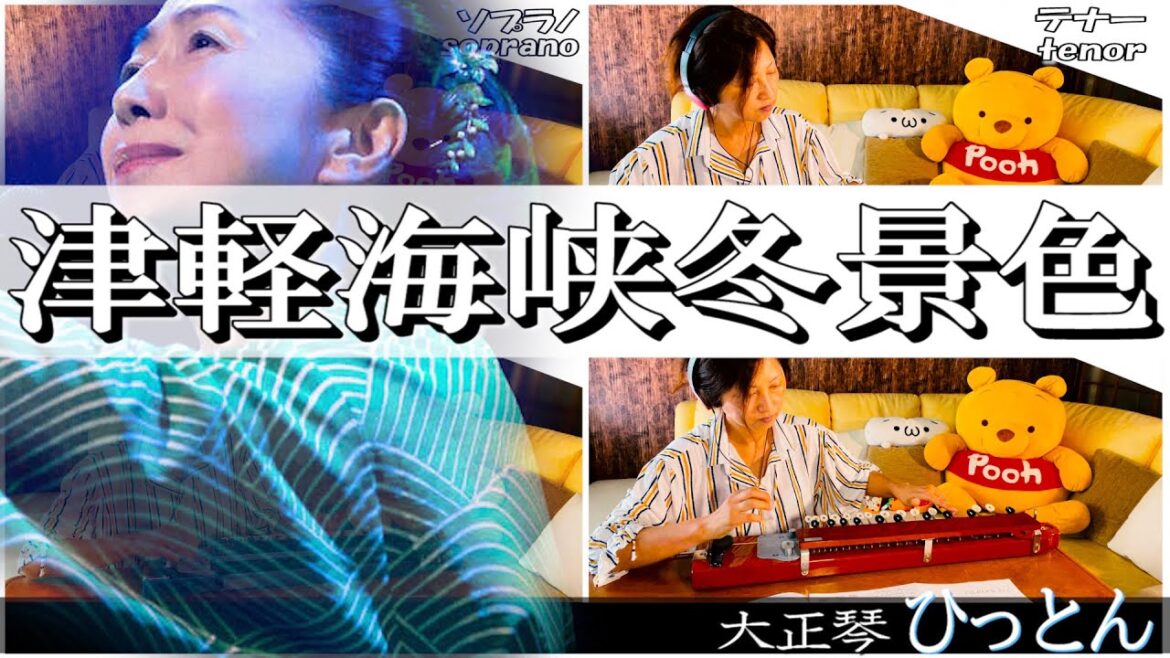 【大正琴】「津軽海峡冬景色」covered byひっとん【多重録音】【1人４パート演奏】