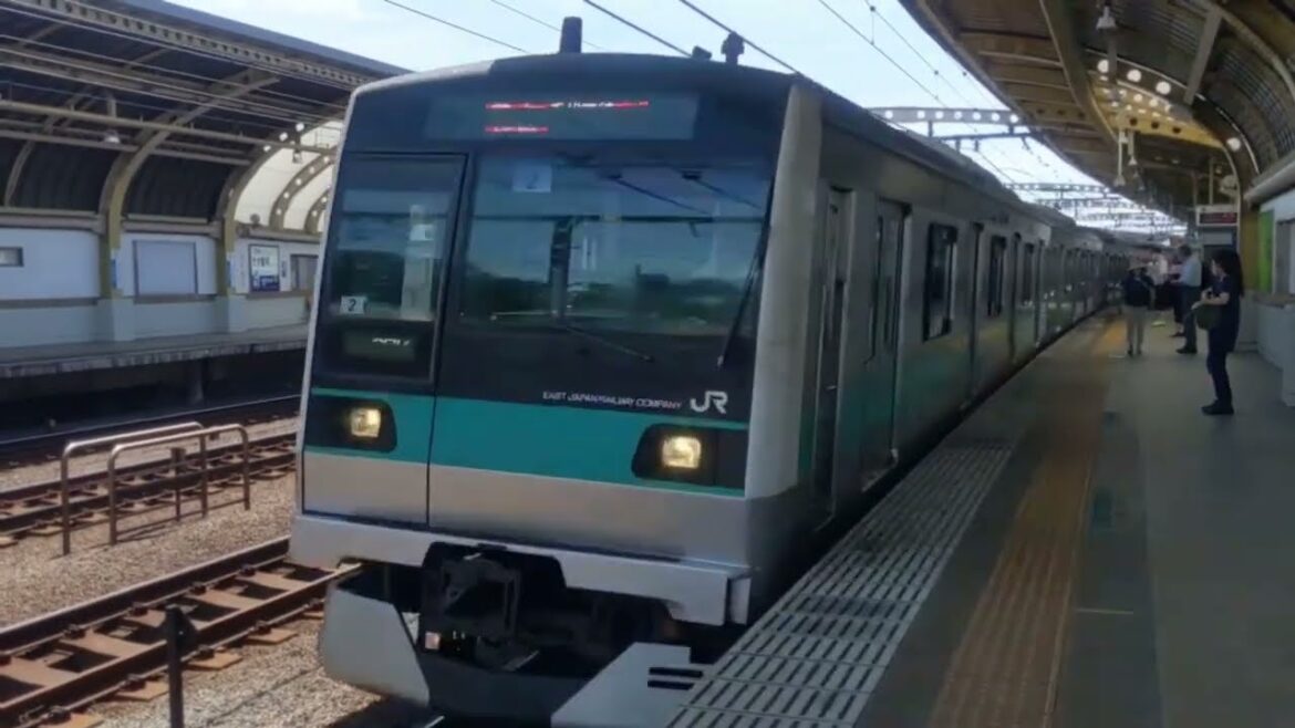 【小田急】緩行線を通過するE233系使用の急行