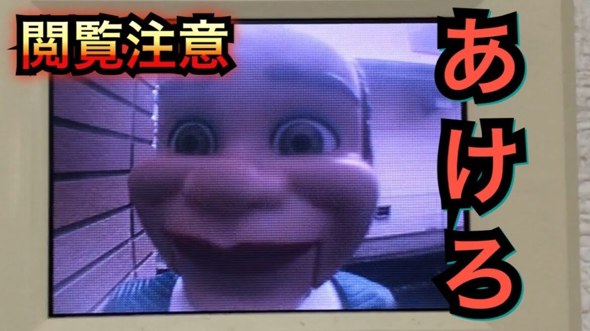 【恐怖映像】家にトイストーリーのベンソンが来ました
