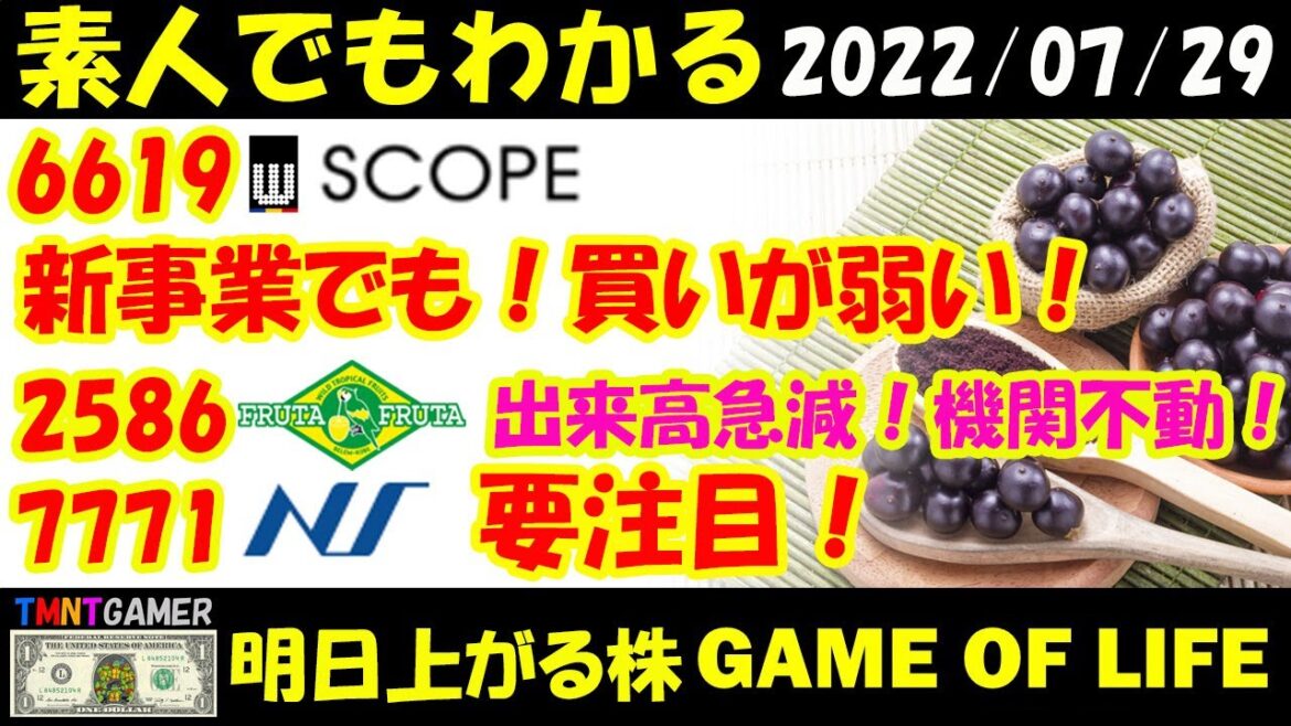 【明日上がる株】7月抽選！2586 フルッタフルッタ！出来高急減！機関動きほぼなし！6619 ダブル・スコープ！新規事業！でも機関支配！7771 日本精密！売りが少ない！【20220729】