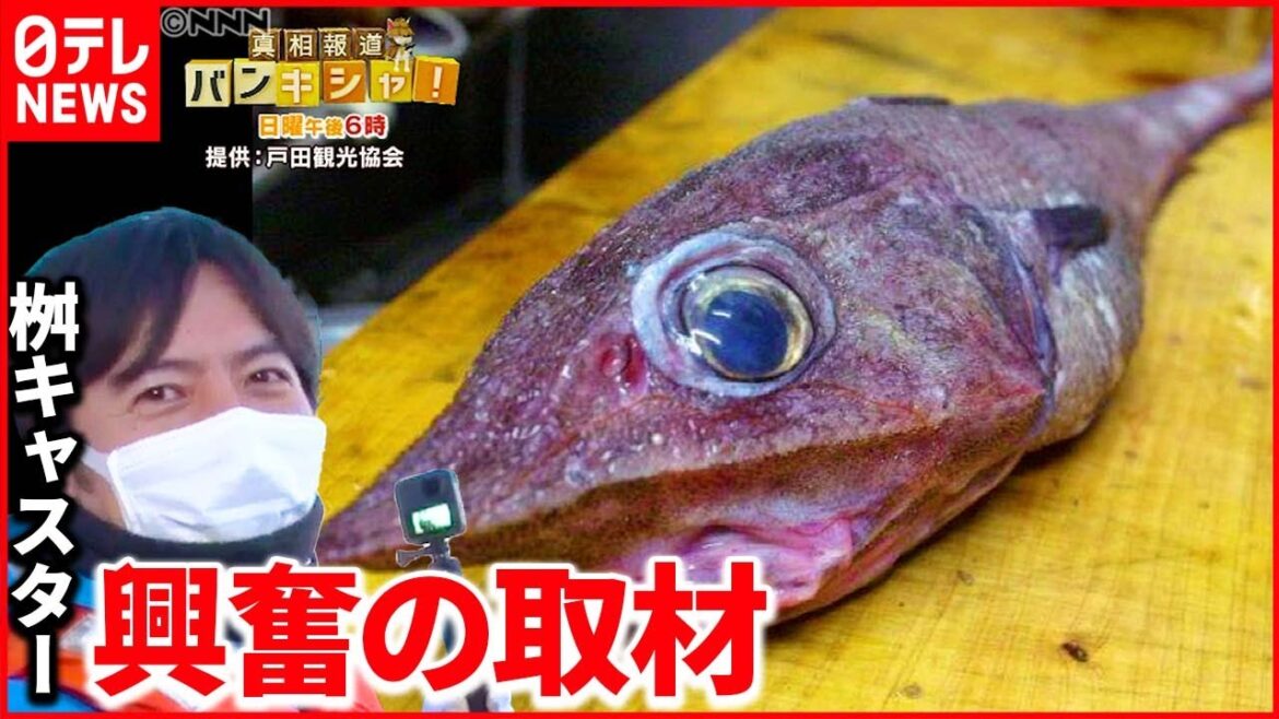 【深海魚】全国の食卓へ…“お味”は？ 新たに広がる使い道も『ベタバリ』