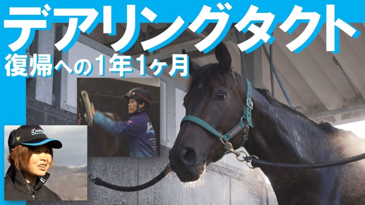【独占密着】無敗の三冠牝馬デアリングタクト復帰へ！共に歩んだホースマン達に密着