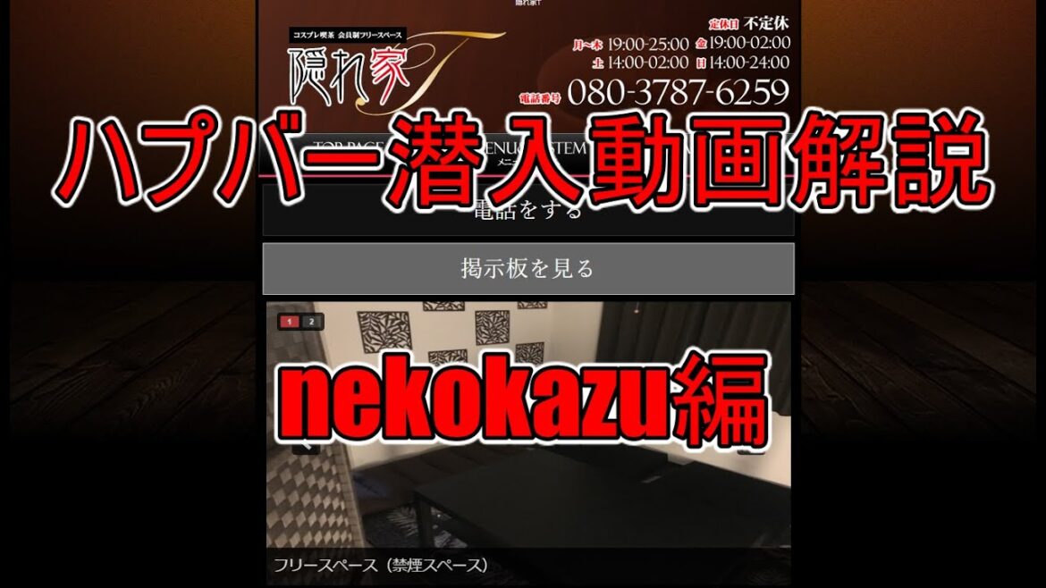 【解説】女性YouTuber「nekokazu（ねこかず）」のハプニングバー潜入動画を解説