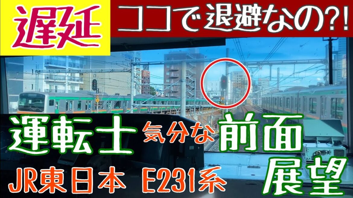 【遅延】遅れた列車を先行させたらとんでもない運用になった!!【JR東日本 E231系 上野東京ライン  前面展望】