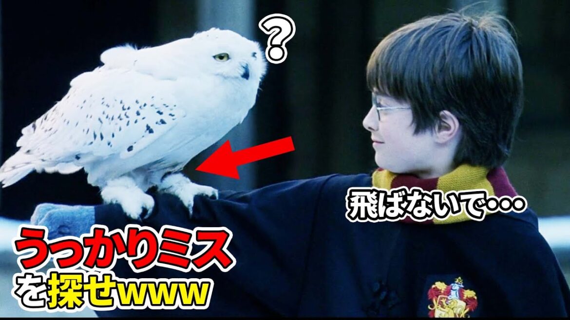 どれくらい知ってますか？ハリーポッター賢者の石のうっかりミス（トリビア集）