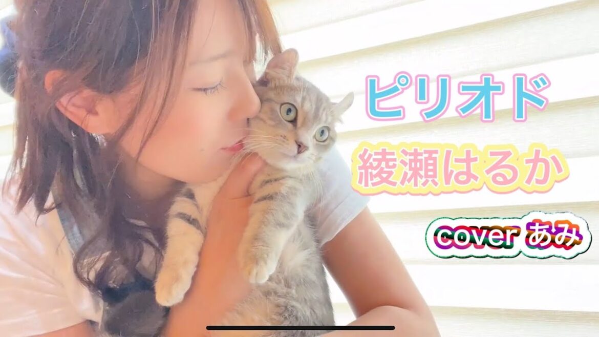ピリオド/綾瀬はるか coverあみ