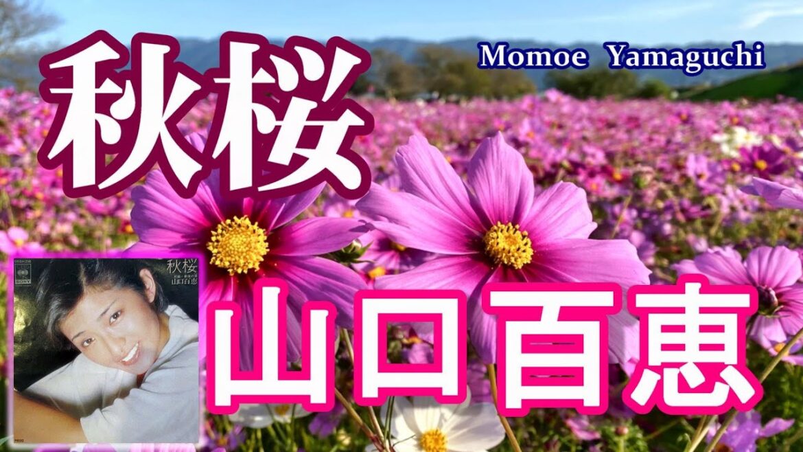 山口百恵・秋桜(コスモス)　歌詞付き！【4K】高音質CD音源