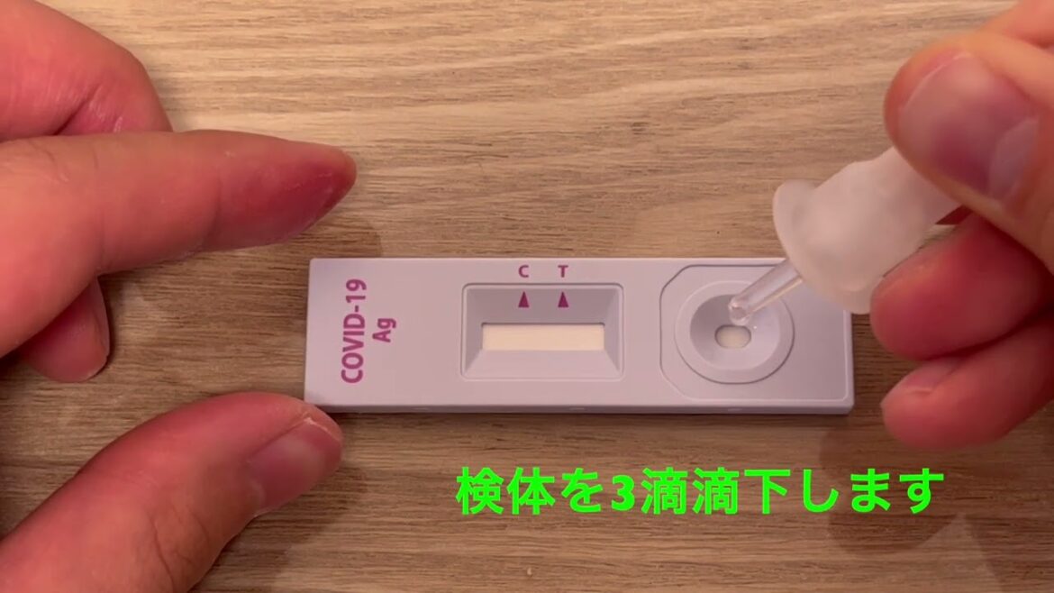 新型コロナ抗原検査キット一連の流れを簡潔に