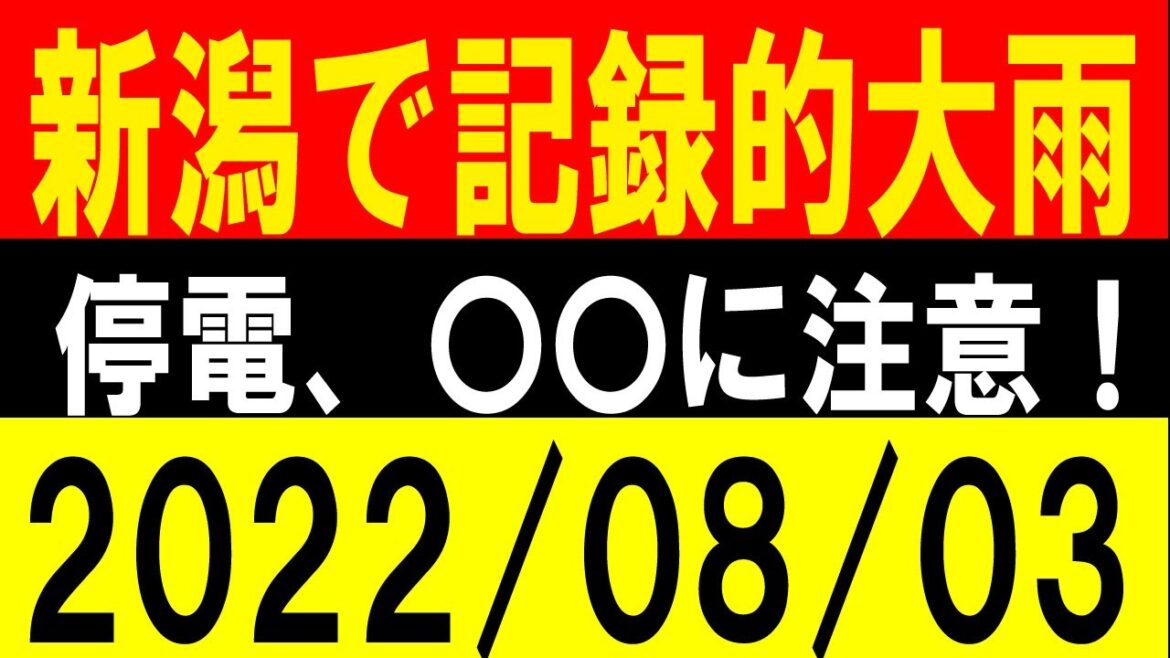 新潟で記録的大雨！停電、〇〇に注意！地震研究家 レッサー