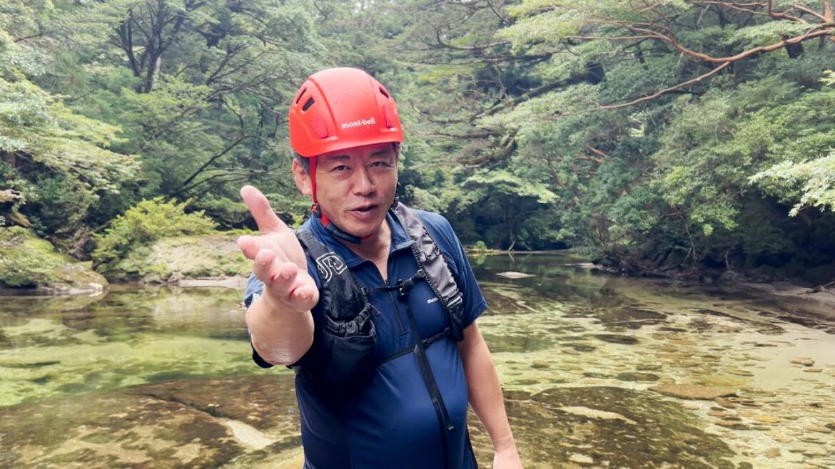 旧統一教会叩きが過激化している件についてお話しします