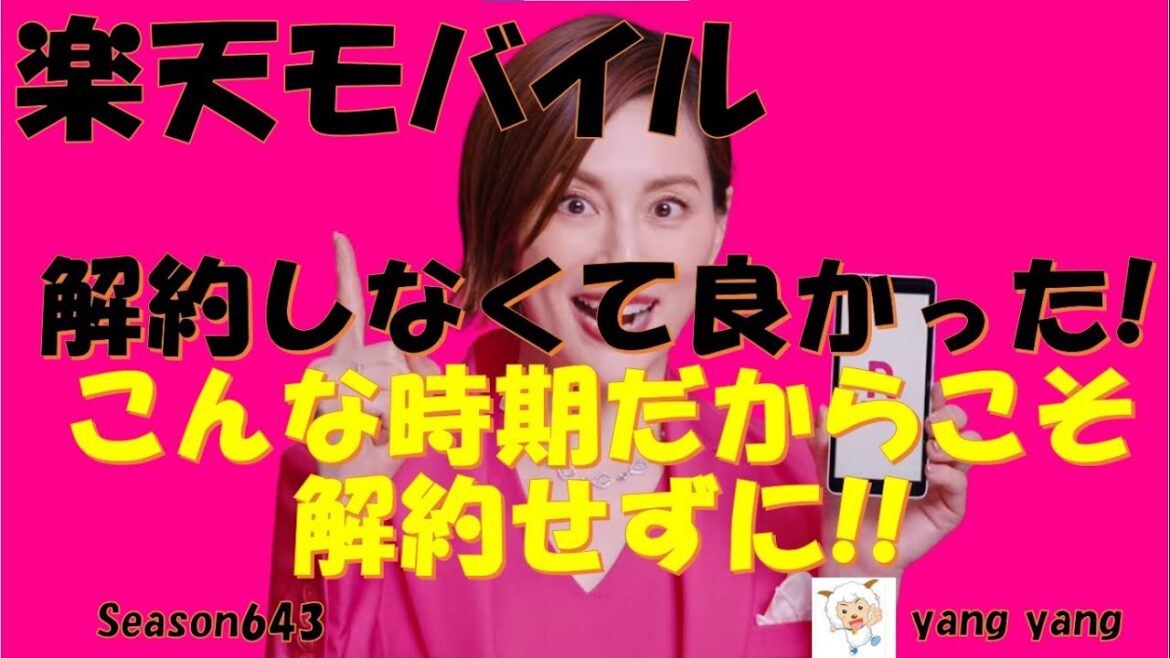 楽天モバイル 解約しなくてよかった!サブ回線で持つ理由!