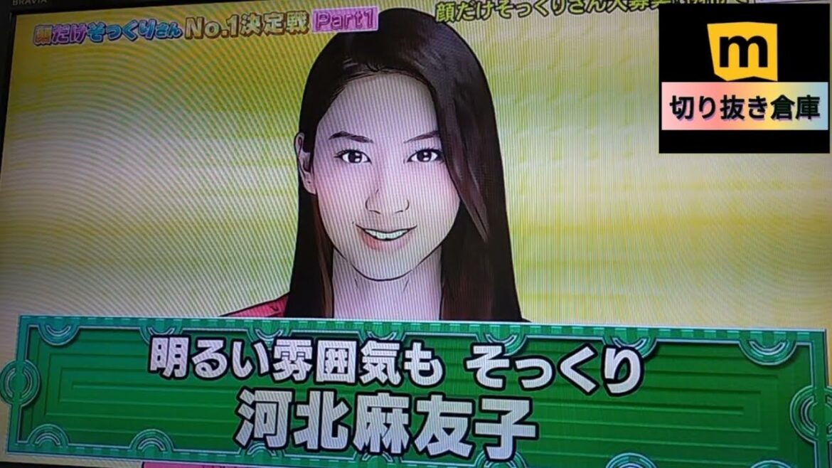 河北麻友子の顔だけそっくりさん