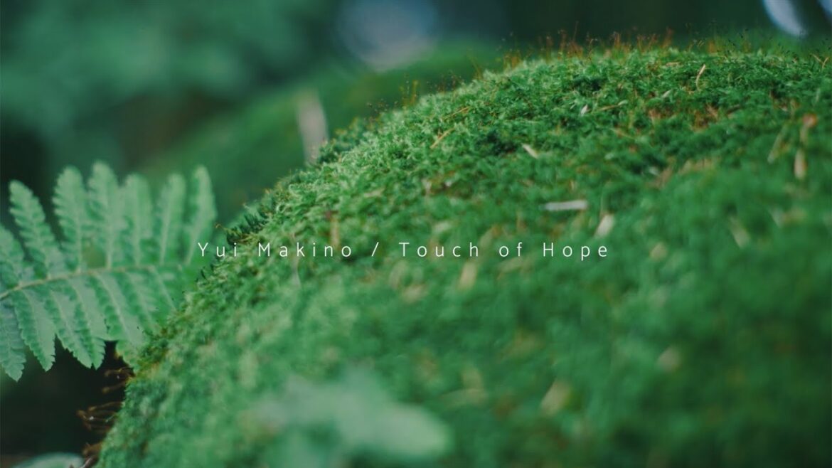 牧野由依「Touch of Hope」Music Video（1chorus Ver.）