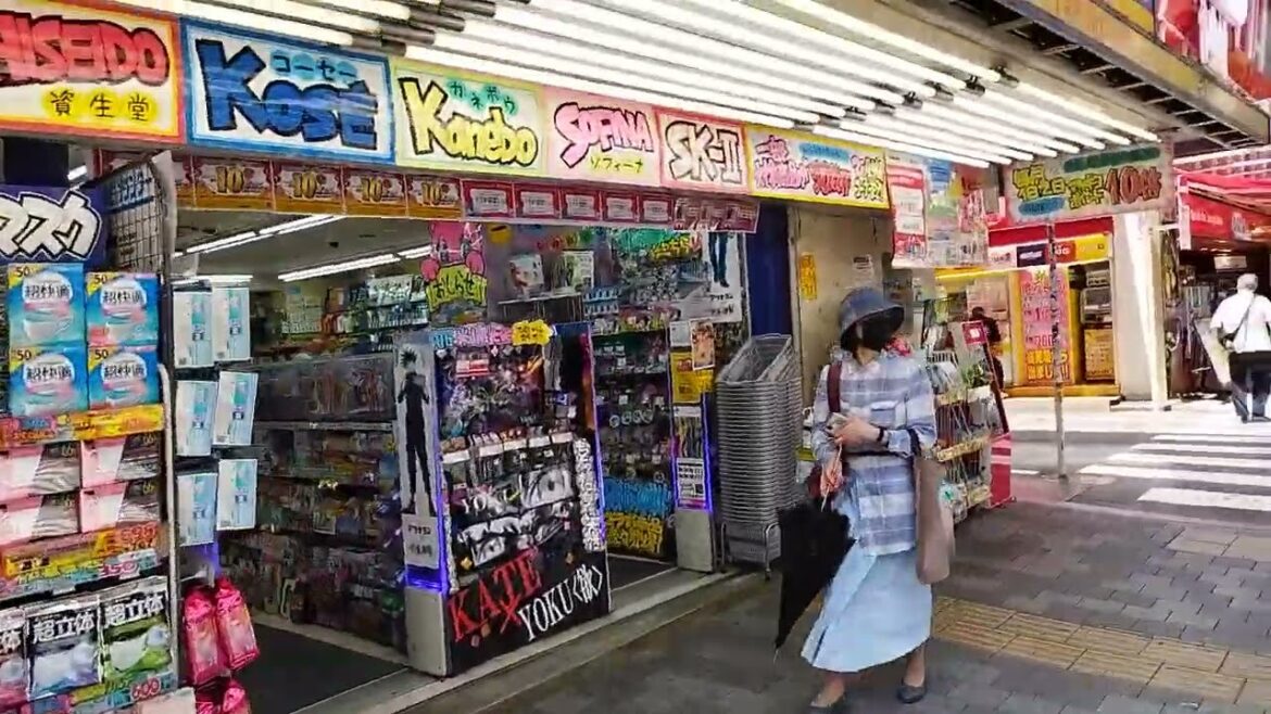 生前の加藤智大さんと秋葉原をお散歩