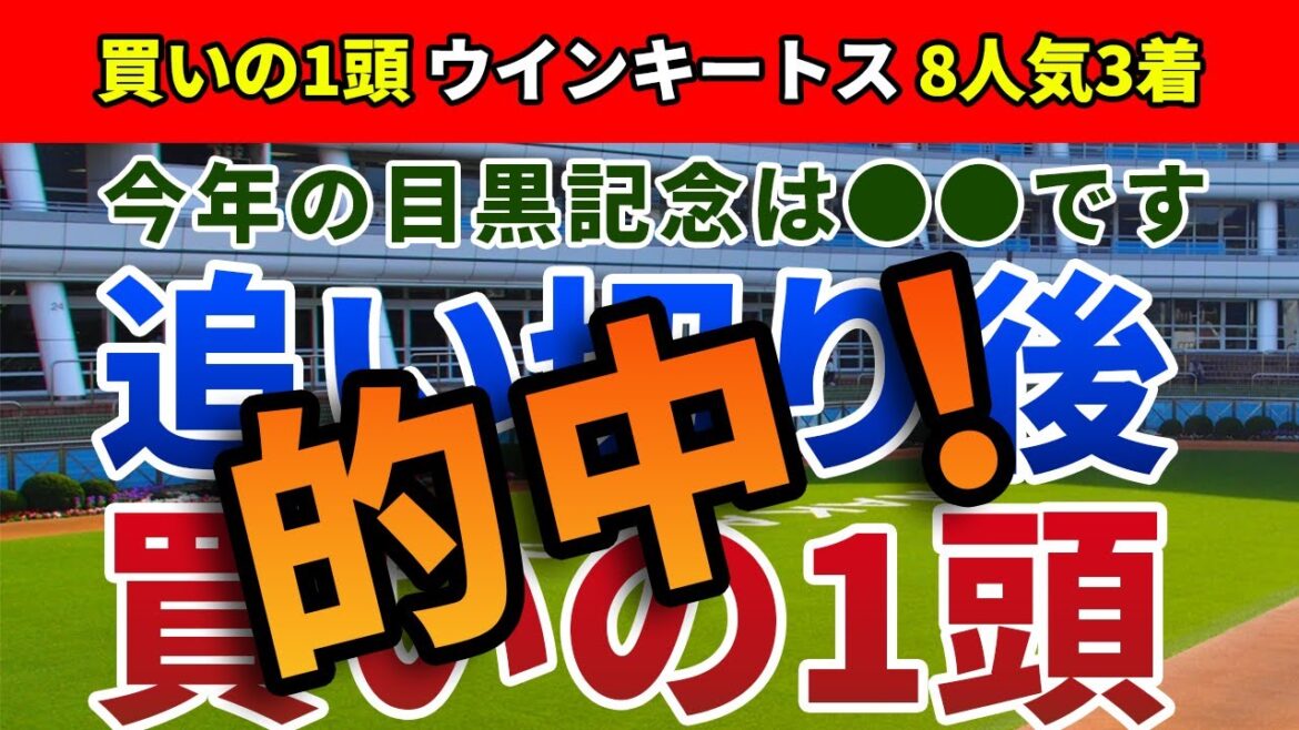 目黒記念2022 追い切り後【買いの1頭】公開！ペースと位置取りが波乱を呼ぶレース！目黒記念はメンバー構成を検証すれば楽勝！