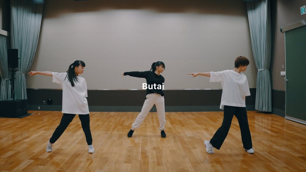鞘師里保 - BUTAI (Dance Practice)
