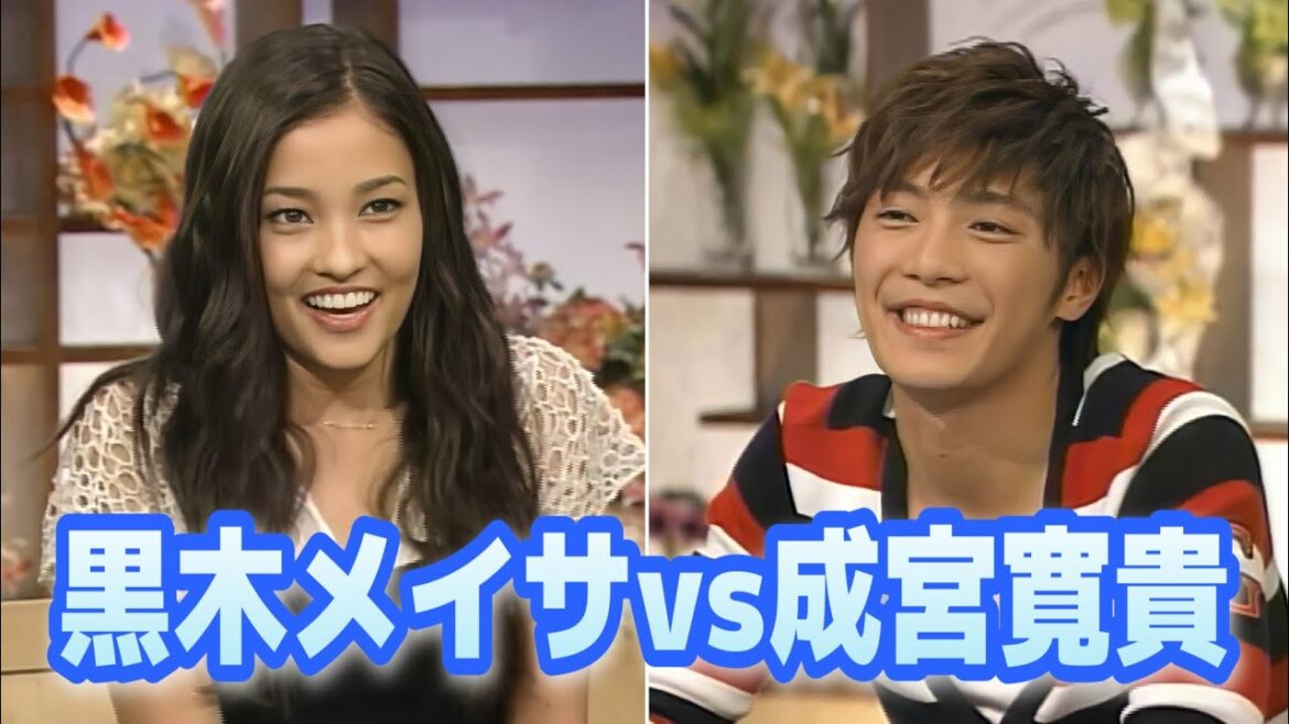 黒木メイサ vs 成宮寛貴