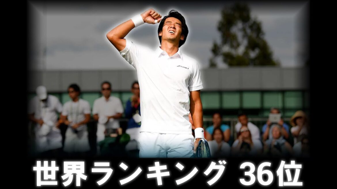 【杉田祐一】錦織・西岡不在の2017年を支えた男