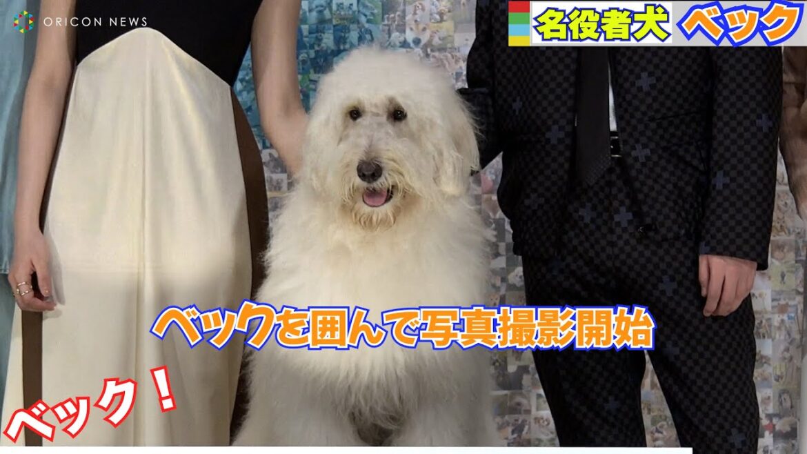 田中圭と共演した犬ベックはカメラマンに目線をちゃんと送れるカワイイ犬！　映画『ハウ』完成披露上映会