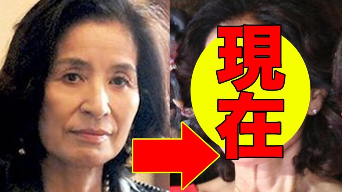 倍賞美津子、現在が衝撃的すぎると話題に！