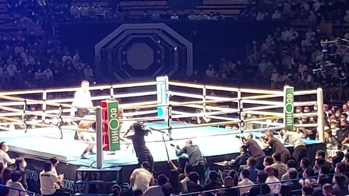 比嘉大吾選手、ボクシング人生初ダウン。フローイラン・サルダール戦。第4R